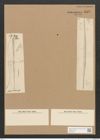Nitzschia lorenziana Grun. (de-Toni-Nr.: Genus 47, Species 2150) Zeichnungen Sammlung Grunow Nr. 4335 (NHMW-BOT-W0372370)